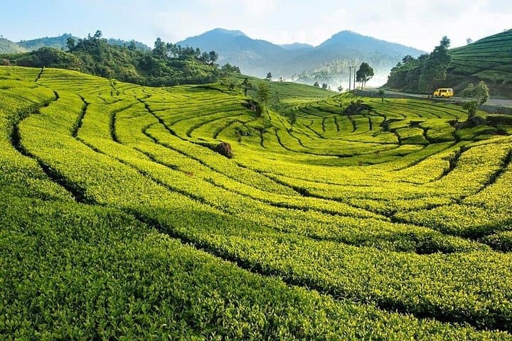 Jakarta to Bandung 4-Day City Tour: Old Town, Tangkuban Perahu & Hot Springs