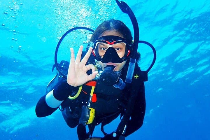Beginner Scuba in Bali: Tulamben Liberty Wreck Day Dive photo 5