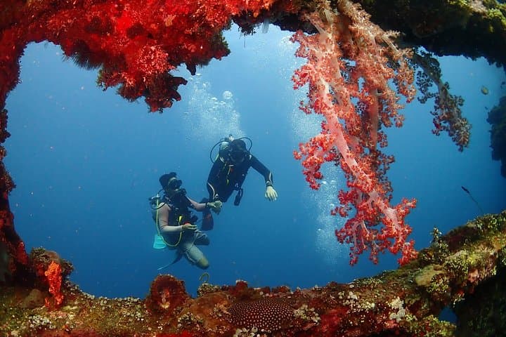 Beginner Scuba in Bali: Tulamben Liberty Wreck Day Dive photo 6