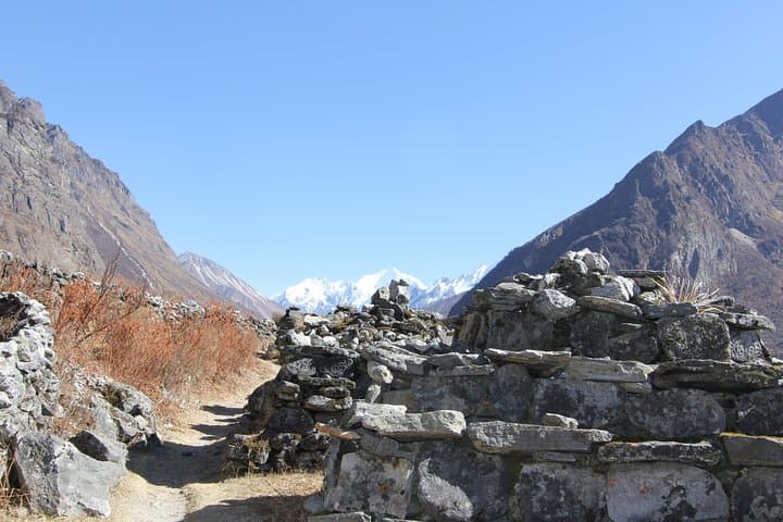 Langtang Valley Trek: Kyanjin Gompa, Cherko Ri & Himalayan Village Trails photo 5