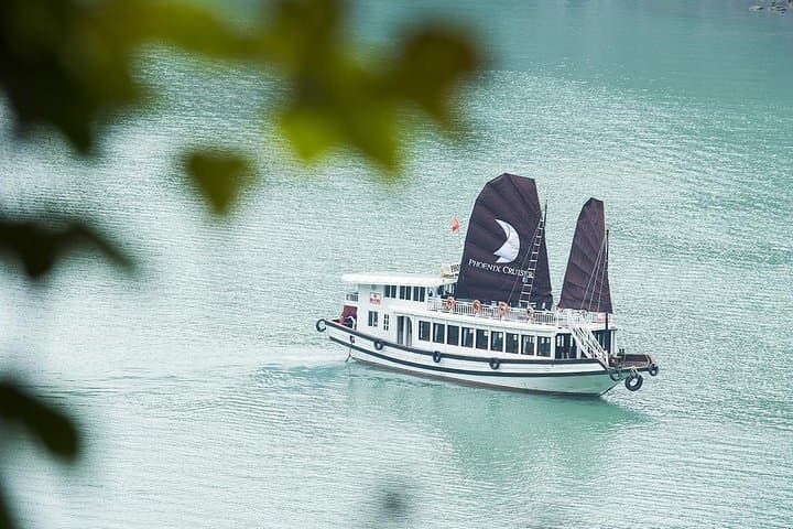 Phoenix Cruise Full Day: Halong Bay Junk to Thien Cung & Floating Villages