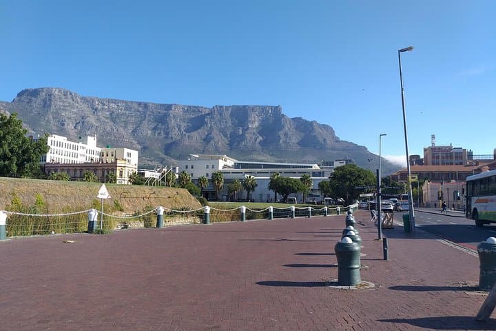 Cape Town One-Day: Table Mountain, Boulders Penguins, Cape Point & Stellenbosch Wine Tour photo 3