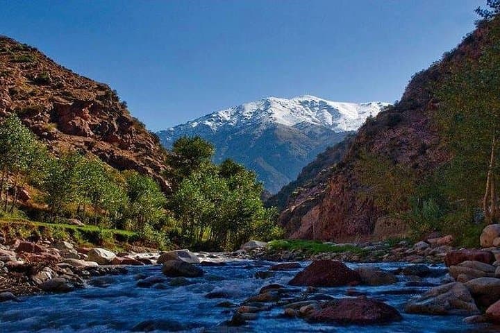 Ourika Valley Day Hike from Marrakech: Waterfalls, Berber Villages & Atlas Views photo 1