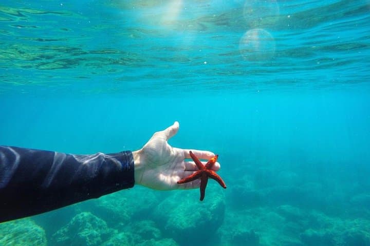 Sivota SUP Tour: Paddle Caves, Snorkel & Coastal Views in Epirus photo 5