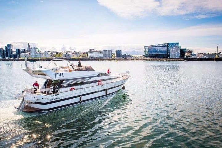 Luxury Whale Watching Yacht Cruise from Reykjavik Old Harbor photo 3