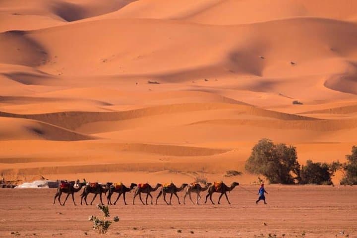 2-Day Luxury Desert Tour from Fes to Erg Chebbi — Camel Ride & Luxury Camp photo 4