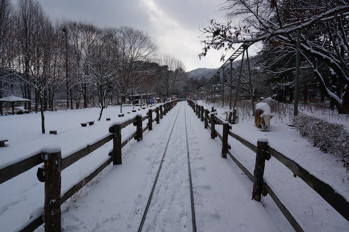 Nami Island & Rail Bike Day Tour from Seoul — Petite France or Garden of Morning Calm photo 6