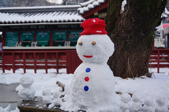 Nami Island & Rail Bike Day Tour from Seoul — Petite France or Garden of Morning Calm photo 5