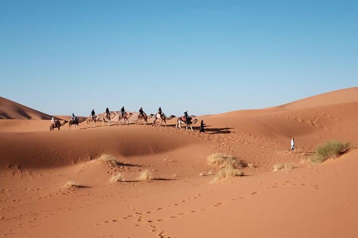 Jaisalmer Off-Beaten-Track Desert Safari Overnight at Khuri Dunes photo 2