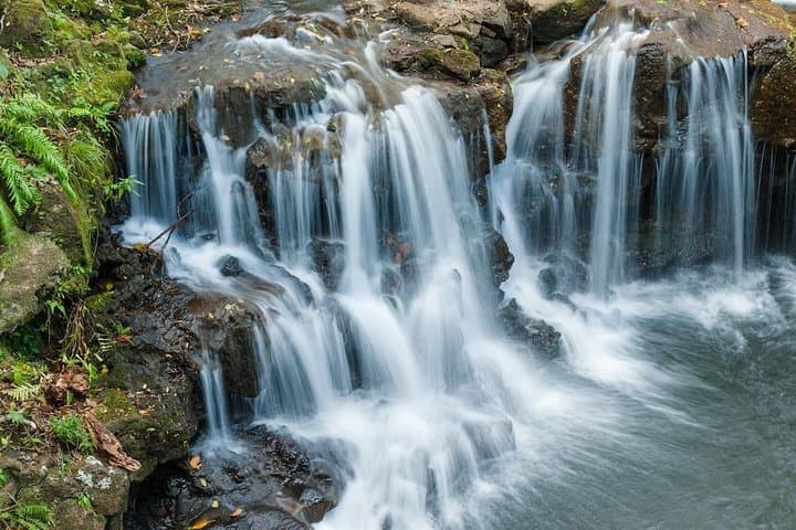 Full-Day Adventure Tour to La Vallée des Couleurs, La Vanille & Gris Gris (Chamarel)