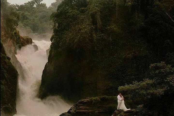 7-Day Uganda Safari: Gorilla & Chimpanzee Trekking with Murchison Falls Game Viewing