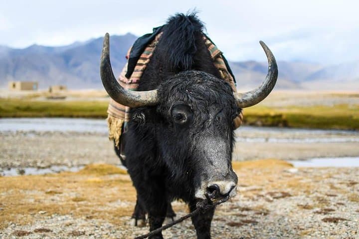Highlights of Tajikistan: Pamir Highway, Fann Mountains & Wakhan Valley