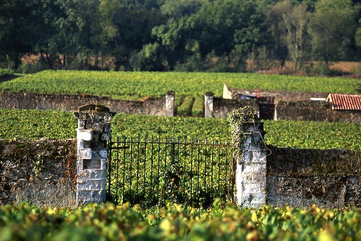 Loire Valley Castles: Chenonceau & Chambord Day Trip with Wine and Lunch photo 6