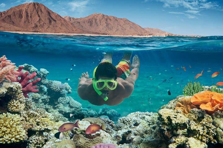 Ras Muhammad Snorkel and Desert Safari — Sharm el-Sheikh Full-Day Adventure