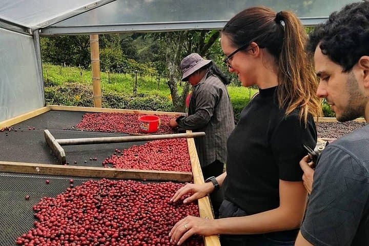 Boquete Specialty Coffee Tour: From Seed to Cupping at Bonita Springs photo 4
