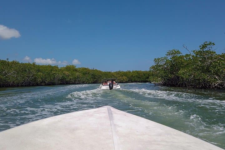 Drive a Speedboat and Snorkel Punta Nizuc: Solo Boat Adventure in Cancun photo 4