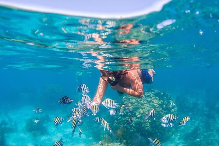 Blue Hole Snorkel & Camel Safari from Sharm el-Sheikh — Day Trip to Dahab photo 2