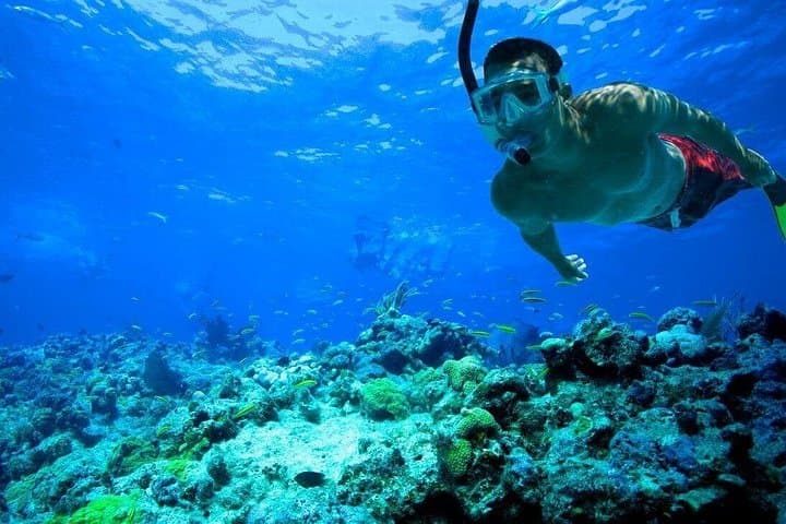 Blue Hole Snorkel & Camel Safari from Sharm el-Sheikh — Day Trip to Dahab photo 3