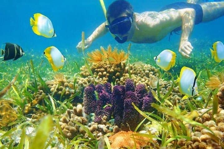 Blue Hole Snorkel & Camel Safari from Sharm el-Sheikh — Day Trip to Dahab photo 4