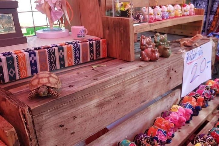 San Kamphaeng Handicraft Trail: Chiang Mai Artisan Workshop Tour Guide photo 6