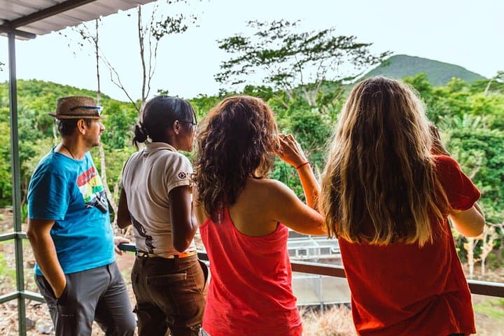 Ebony Forest Chamarel: Guided Endemic Birdwatching Tour
