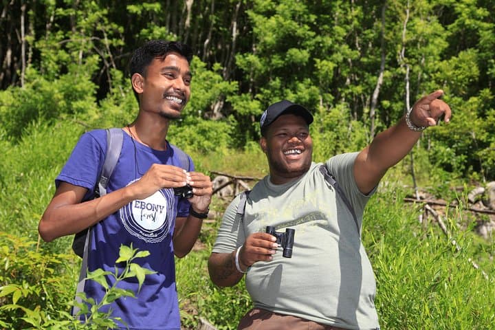 Ebony Forest Chamarel: Guided Endemic Birdwatching Tour photo 2