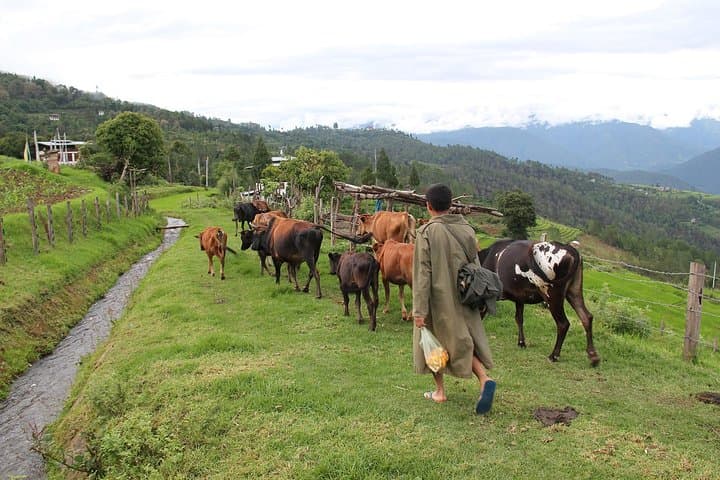 7-Day Kingdom of Bhutan: Culture, Hikes & Tiger's Nest