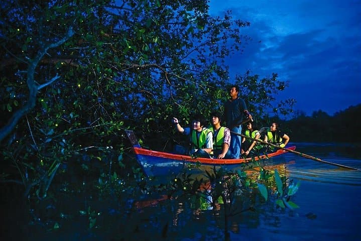 Kuala Selangor Fireflies Night Tour & Seafood Dinner — Selangor River Boat Ride
