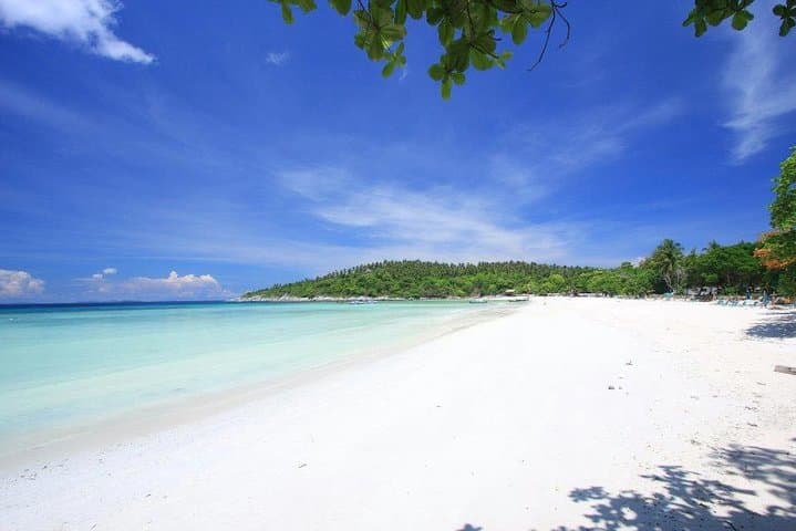 Half-Day Speedboat to Coral Island (Koh Hae) — Snorkel Clear Reefs from Chalong Pier