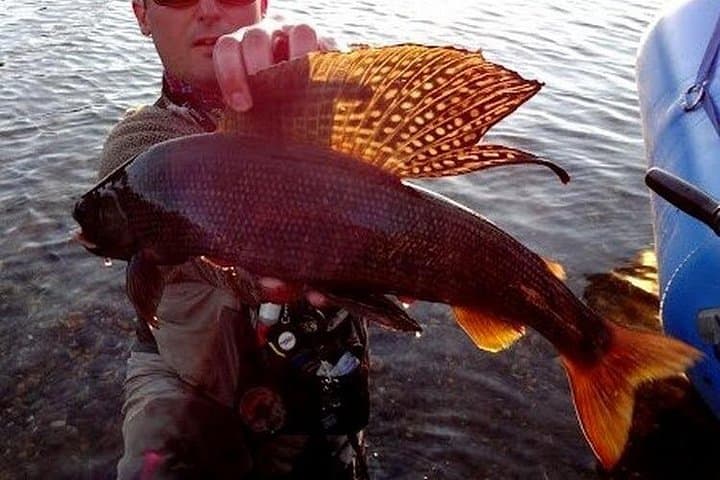 Full-Day Guided Fishing on the Chena River — Fairbanks Alaska Angling Trip photo 3