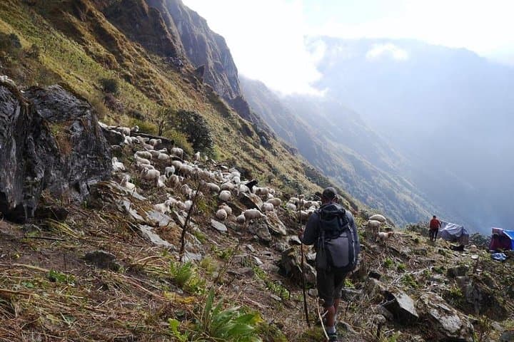 Khopra Danda Trek: Khopra Ridge, Khayer Lake & Annapurna Sunrise Views photo 4