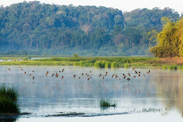 Wild Private Nam Cat Tien National Park 2-Day Wildlife Escape from Ho Chi Minh City