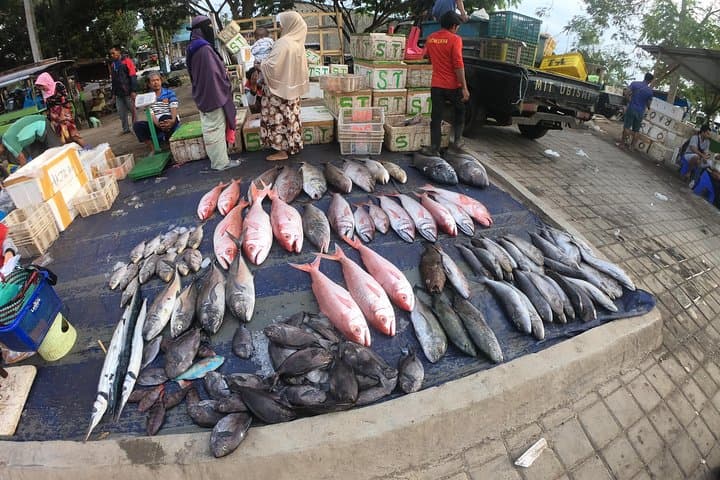 Ampenan Fish & Lombok Traditional Market Morning Tour photo 1