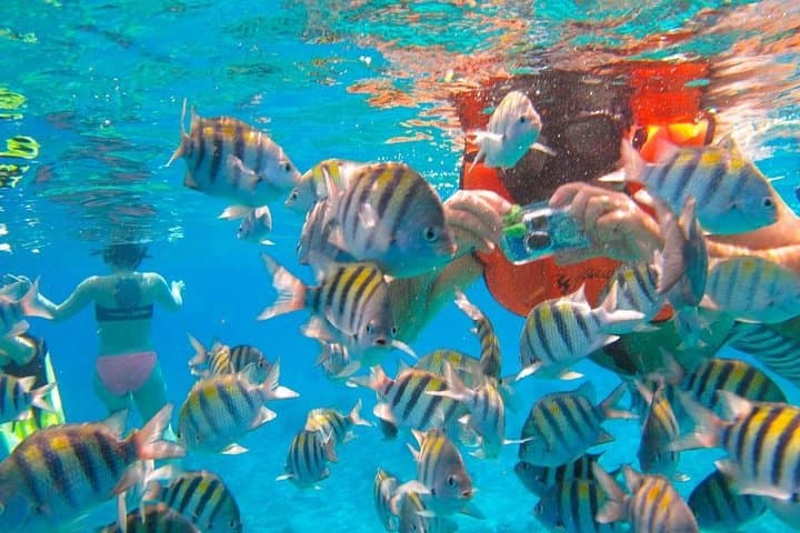 Phi Phi Half-Day Speedboat Tour: Snorkel Maya Bay & Monkey Beach photo 4