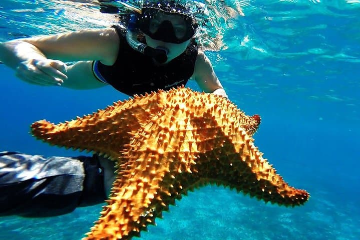 Phi Phi Half-Day Speedboat Tour: Snorkel Maya Bay & Monkey Beach photo 6