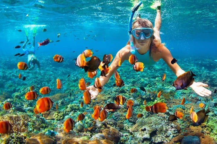 Phi Phi Half-Day Speedboat Tour: Snorkel Maya Bay & Monkey Beach