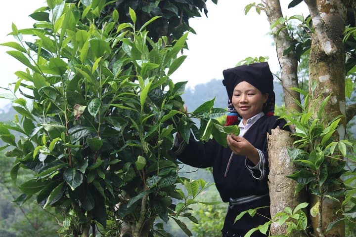 Da Bac 2-Day Dao Tien Homestay: Sung Village Culture & Reservoir Adventure