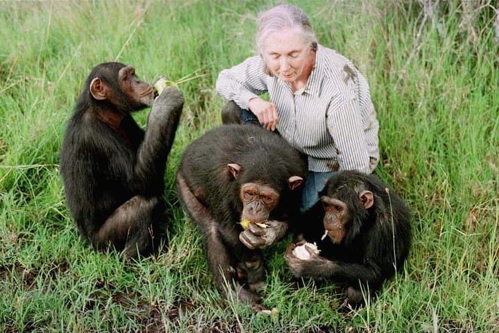 5-Day Aberdares, Ol Pejeta & Samburu Luxury Safari from Nairobi photo 2