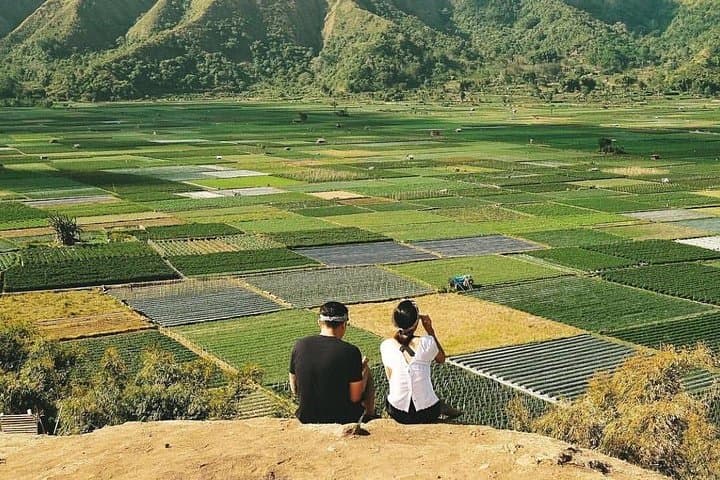 Sembalun Day Tour: Rinjani Views, Bukit Selong Rice Terraces & Strawberry Gardens photo 1