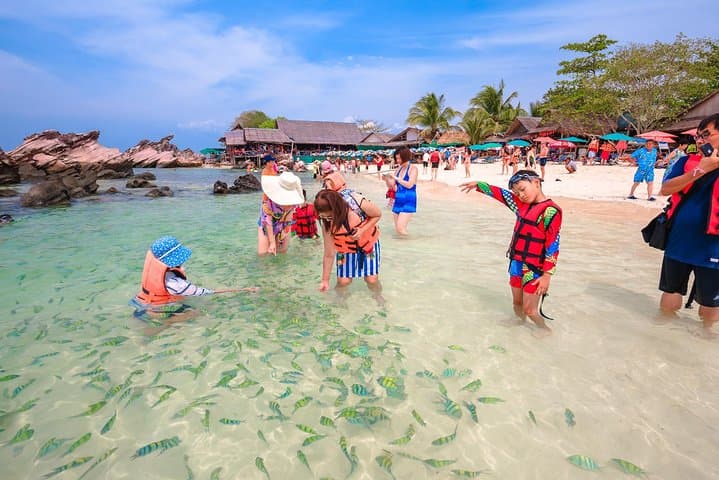 Phi Phi Maiton Khai Sunset Premium Speedboat Tour from Phuket photo 4