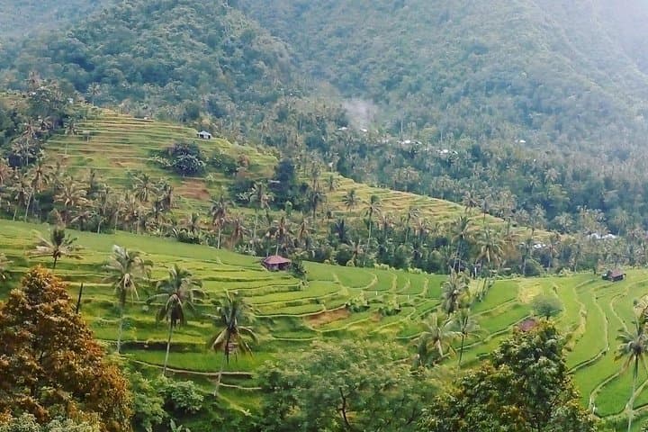 Sekumpul & Hidden Waterfalls Trek — Bali Waterfall Tour from Singaraja photo 5
