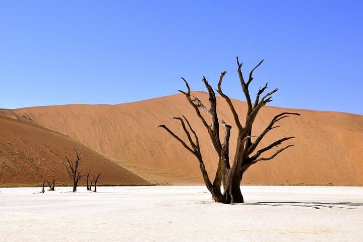 Sossusvlei 3-Day Dune 45, Big Daddy & Deadvlei Tour from Windhoek photo 3