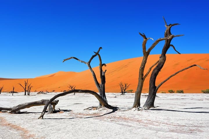 Sossusvlei 3-Day Dune 45, Big Daddy & Deadvlei Tour from Windhoek photo 5
