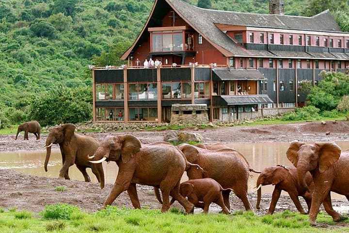 9-Day Best of Kenya Wildlife Safari: Big Five & Great Migration photo 2