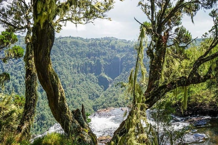 6-Day Aberdares, Lake Bogoria & Masai Mara Wildlife Safari: Big Five, Flamingos & Rift Valley
