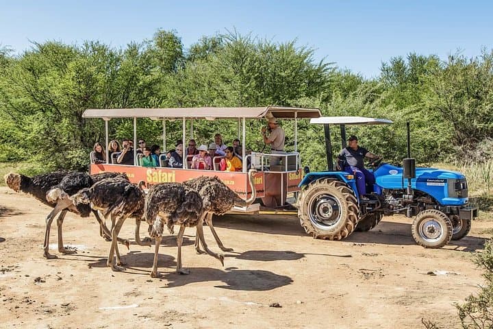 5-Day Winelands and Garden Route Discovery: Cape Winelands to Tsitsikamma photo 3