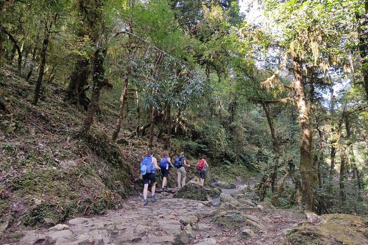 Annapurna Base Camp Trek: Essential Guide to the Classic Himalayan Sanctuary photo 4