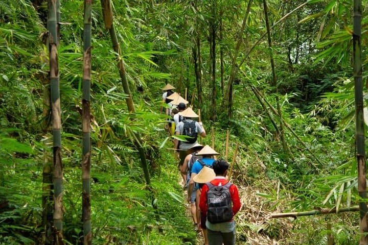 Balinese Village Immersion: Ubud Day Trip with Foraging, Temple & Cooking photo 6