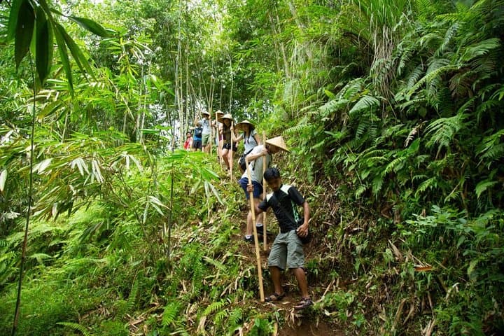 Balinese Village Immersion: Ubud Day Trip with Foraging, Temple & Cooking photo 4