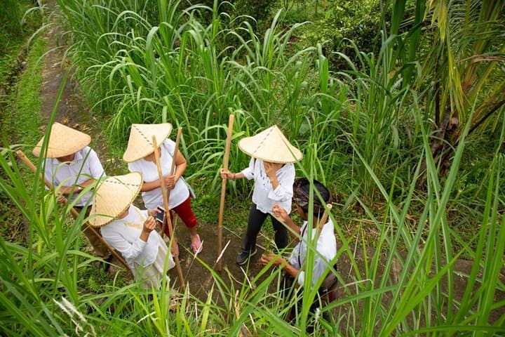 Balinese Village Immersion: Ubud Day Trip with Foraging, Temple & Cooking